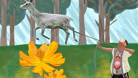 鄒族/鞣皮術的由來